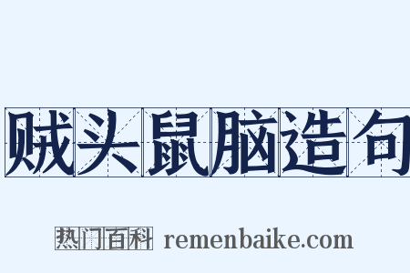 贼头鼠脑造句是什么意思的图片